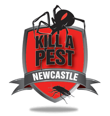 Newcastle Kill A Pest