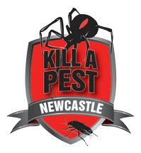 Newcastle Kill A Pest Pest Control Newcastle & Termite Inspection